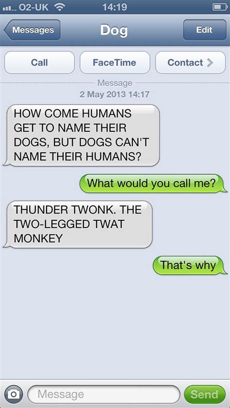 25 More Texts From Dogs You Wont Be Disappointed