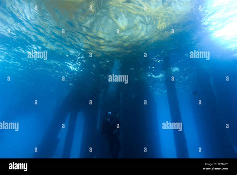 Diver Underwater At Oil Rig Platform Stock Photo Alamy