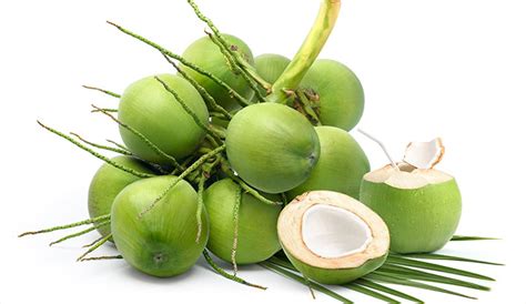 Fresh Green Coconut In Sampan Cafe Coxs Bazar