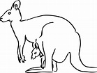 Free Printable Kangaroo Coloring Pages For Kids - Animal Place