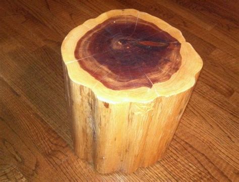 Red Cedar Stump Stool Table Photo Prop Plant Stand 11 Wood Book Stand
