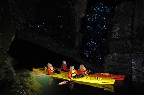 Waitomo Glow Worm Caves Top Tours And Tips