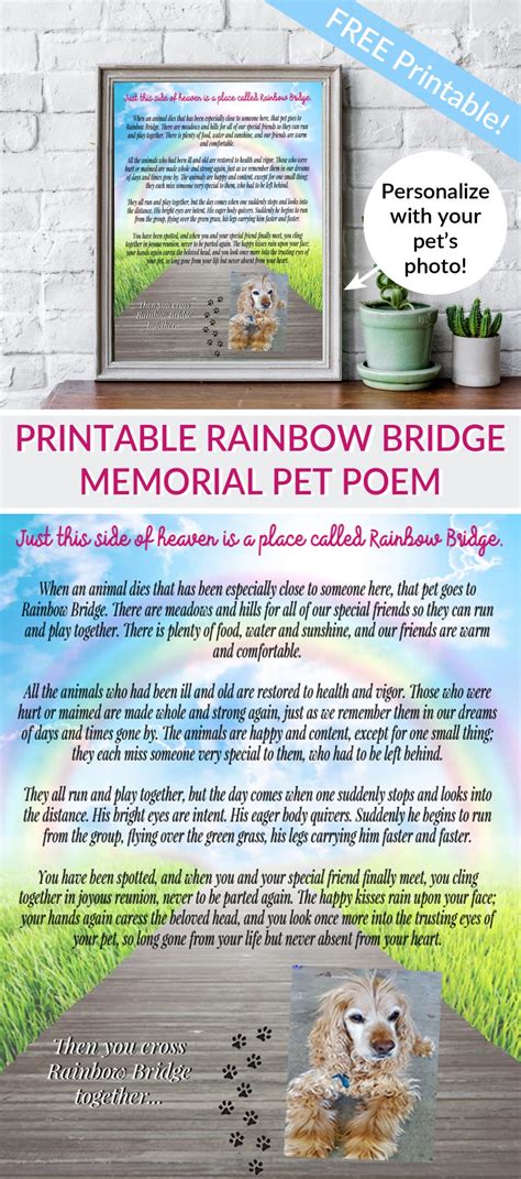 Printable Rainbow Bridge Memorial Pet Poem For The Love Of Food