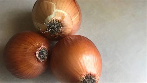 Can I plant onions in fall, winter in Northern California?