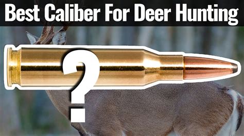 Best Caliber For Deer Hunting Pt3 The Overall Winners Youtube