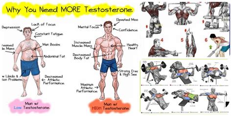Boost Your Testosterone 7 Workouts You Must Add In Your Fitness Routine