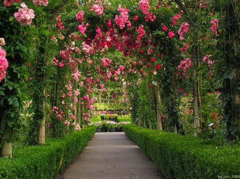 12 Beautiful Garden Hd Wallpapers For Desktop Picsgen