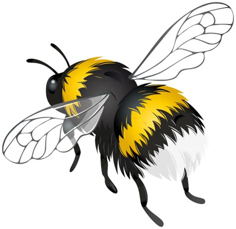 Bumblebee Serangga Latar Belakang Png Png Play