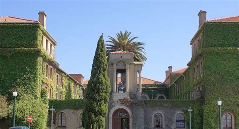 University of cape town is one of the top public universities in cape town, south africa. Censored nudity, political expression: UCT caves in to the ...