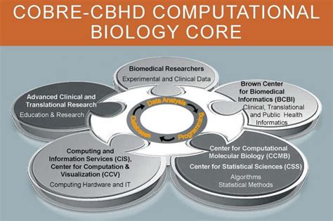 Computational biology, bioinformatics, application, algorithm, deep learning. Computational Biology Core | Computational Biology of ...