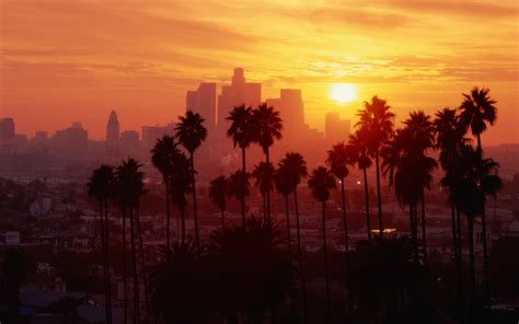 Awesome Los Angeles Wallpaper 1920x1200 21050