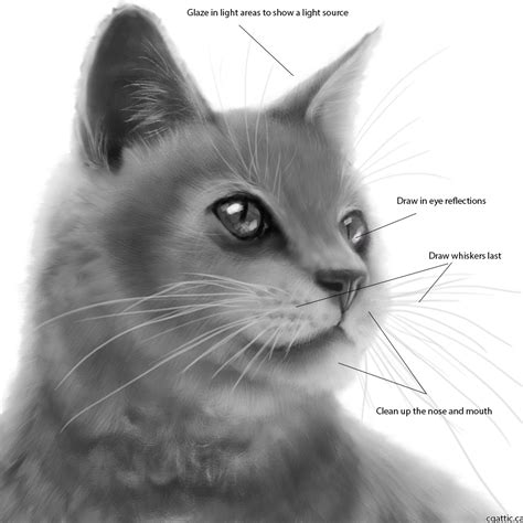 How to draw a simple cat. How to Draw Cats in 4 Steps With Photoshop