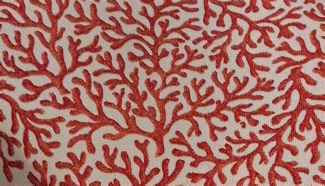 Coral Fabric