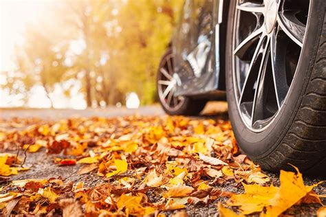 How Should You Prepare Your Car For Autumn Viamichelin Magazine