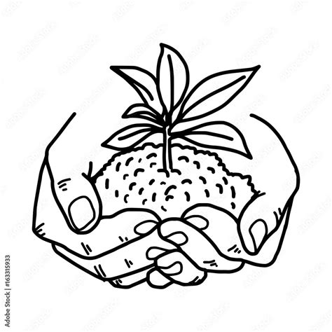 Growing Plant With Soil In Hands Vector Illustration Sketch Hand