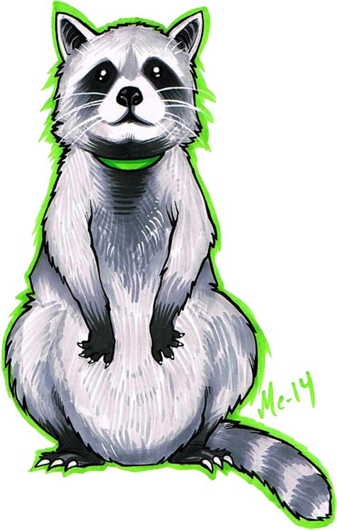 Racoon Raccoon Transparent Png Original Size Png Image Pngjoy