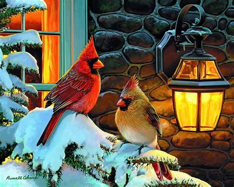 37 Cardinals In Winter Desktop Wallpaper On Wallpapersafari