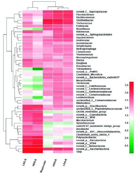 Heat Map Of Species Relative Abundance Of Bacteria At Genus Level Of Download Scientific