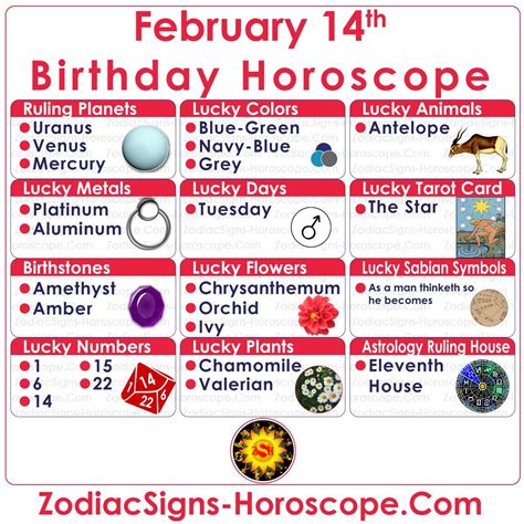 february 14 zodiac complete birthday personality and horoscope birthday horoscope aquarius