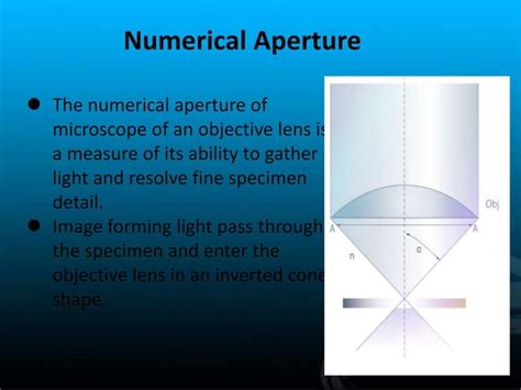 Numerical Aperture And Limits Of Resolution Of Microscope