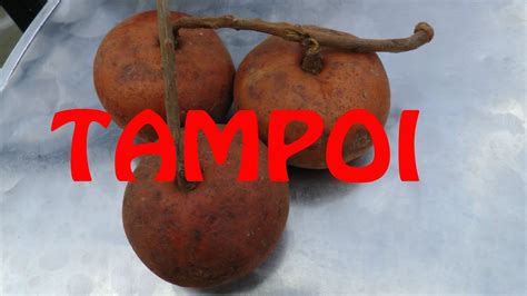 How to open and eat Tampoi Fruit - YouTube