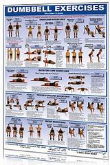 Fitness Exercises Using Dumbbells Images