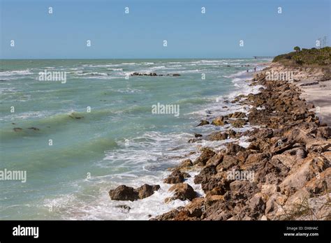 Rocky Coastline Of The Gulf Of Mexico At Caspersen Beach In Venice