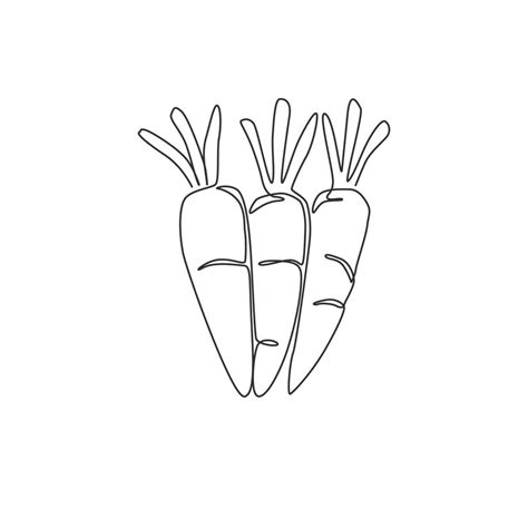 One Single Line Drawing Whole Healthy Organic Carrots Pile