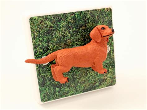 21.12.2009 · hi your perfect petzzz cat must be broken because 1. Sausage Dog Light Switch