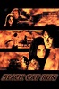Black Cat Run (1998) — The Movie Database (TMDB)