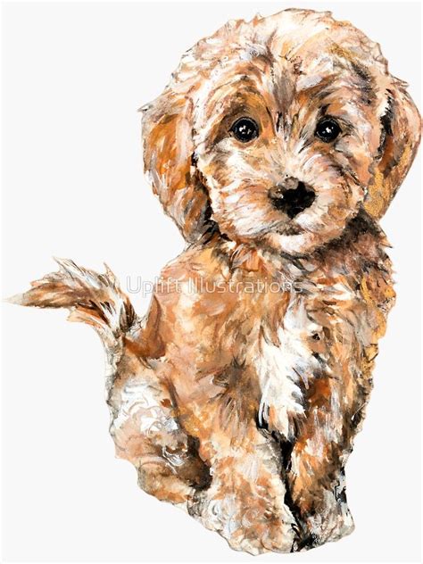 Poodle Goldendoodle Puppy Watercolor Illustration Sticker By Uplift
