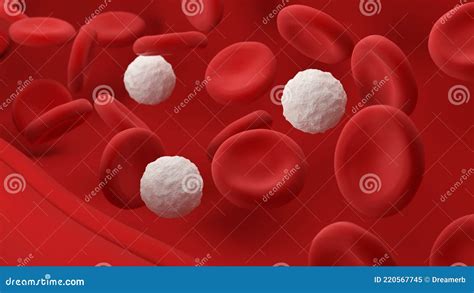 Red And White Blood Cells Leukocytes And Erythrocytes Stock
