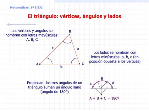 Objetivo Sano Bolso Area Del Triangulo Con Vertices Moverse Delicioso