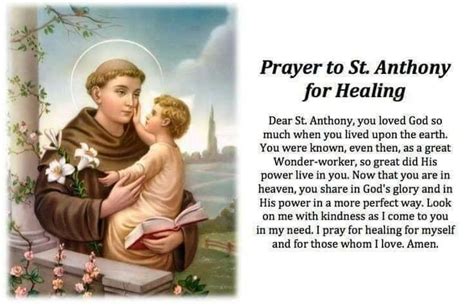 Pin By Carm Merola On Novenas And Special Prayers St Anthony Prayer