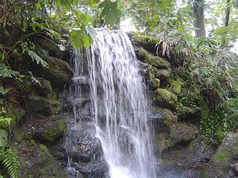 The Rainbow Springs Trail In Florida Has Waterfalls Along The Hike