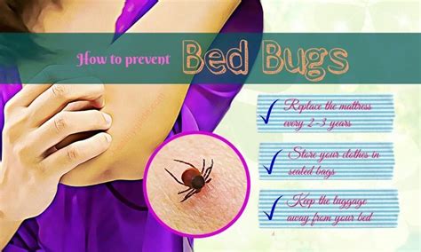 14 Tips How To Prevent Bed Bugs Bites At Home And When Travelling