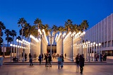 Los Angeles County Museum of Art (LACMA) - usatipps.de