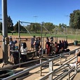 Sacramento Softball Complex - 13 Photos - Amateur Sports Teams - Arden ...