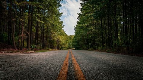 Forest Road Wallpapers
