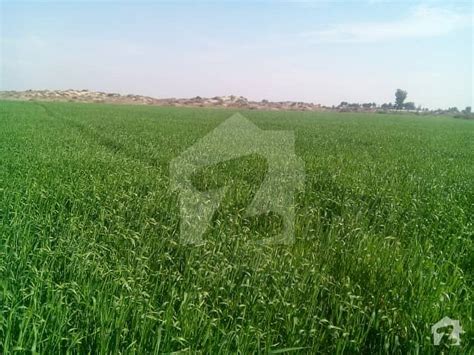 Up to 15,000* hectares of owned, contracted and optioned land within a 35* kilometre radius of strathmerton in northern victoria. Agricultural Land Is Available For Sale Others, Multan ...
