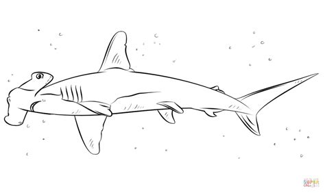 Dibujo de Tiburón Martillo para colorear Dibujos para colorear
