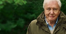 David Attenborough: Una vida en nuestro planeta | Acento