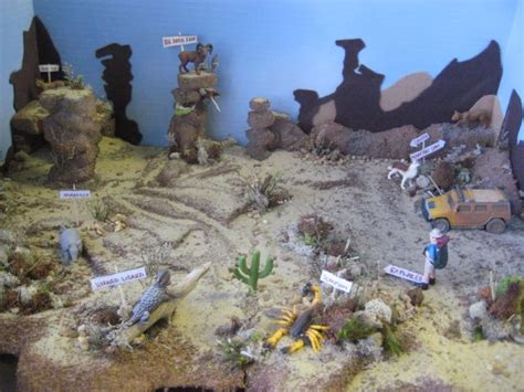 Science Desert Ecosystem Diorama School Fun School Crafts School