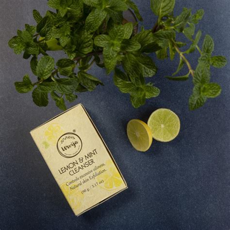 Lemon And Mint Cleanser Pack Of 2 Alterlyfe