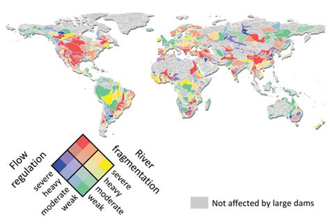 Environmental Monitor Map Reveals Impacts Of Present And Future Dams