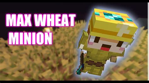 The First Max Wheat Minion Ever In Hypixel Skyblock Youtube