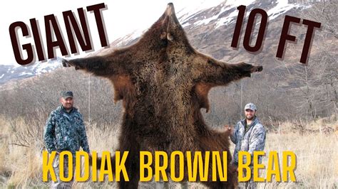 Giant 10 Foot Kodiak Island Alaska Brown Bear Hunt Youtube