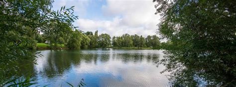 Bluebell Lakes Uk