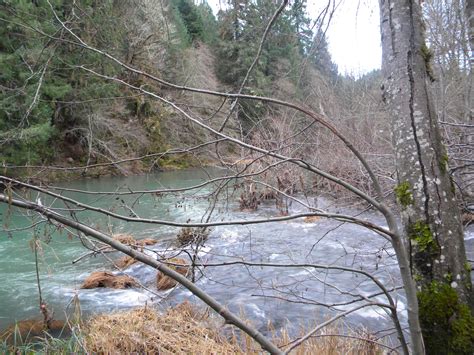 Orww Upper South Umpqua Headwaters Project The Forks