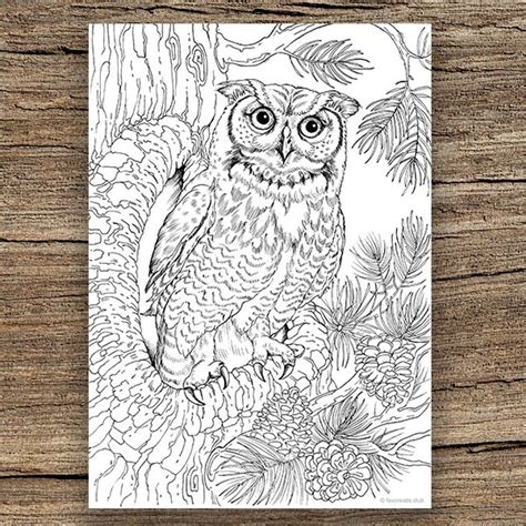 Hard Owl Coloring Pages For Girls